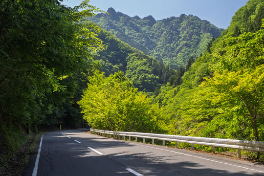 新緑の中津峡・県道210号・中津川三峰口停車場線・秩父市