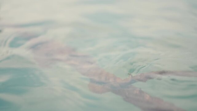 Close up of an old thick mooring rope floating on calm blue sea water