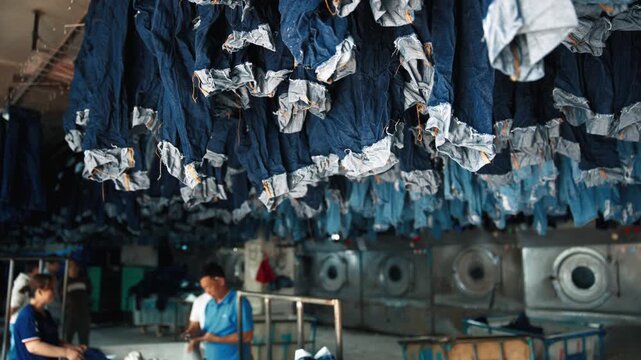 Wide view of Huge Denim Processing Factory Facility with Workers under Sea of Blue Jeans Hanging from Overhead Drying Rail System 4k
