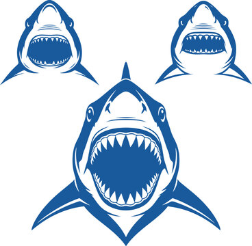 Three blue shark head illustrations with open mouths and sharp teeth on white background