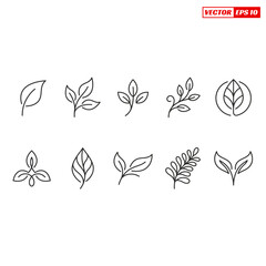 Fototapeta premium Collection of ten elegant line art leaf and branch icons.
