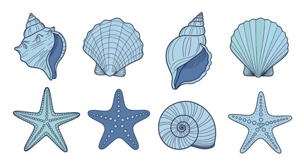 Collection of blue seashells and starfish illustrations. © Wita