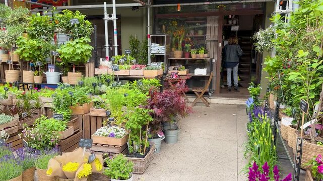Outdoor Flower Market in Marseille France