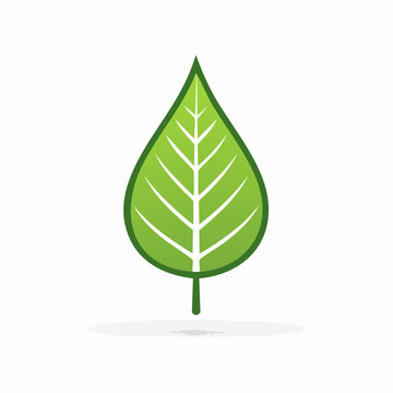 Green leaf icon with veins