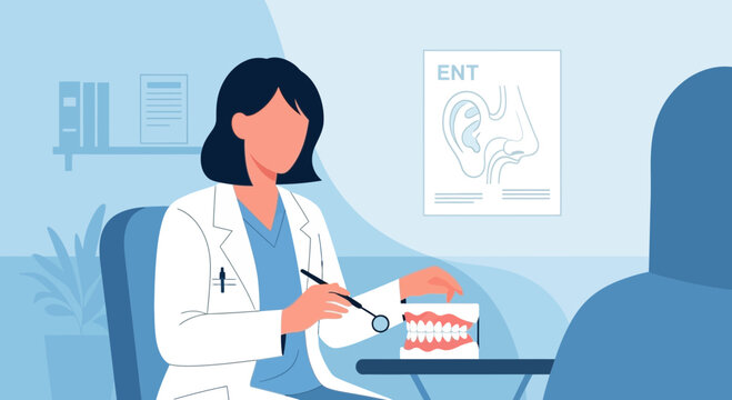 Female ENT doctor consultation, artificial jaw model