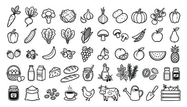 Healthy food and drink icons, fresh produce and groceries, transparent background, vector illustration set.