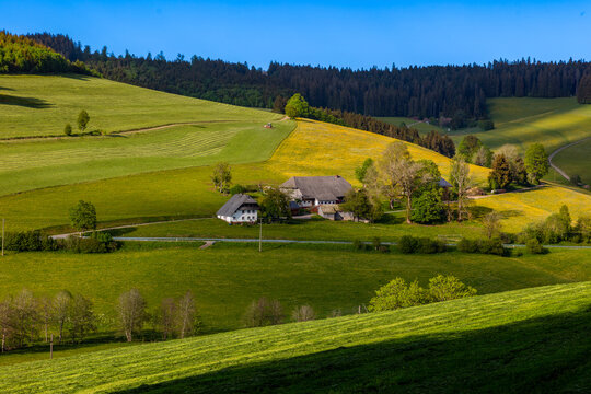 Typical farmhouse near Titisee in the Black Forest