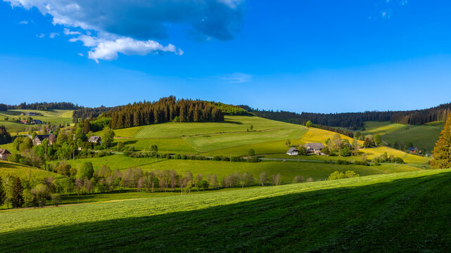 View into the Jostal near Titisee in the Black Forest