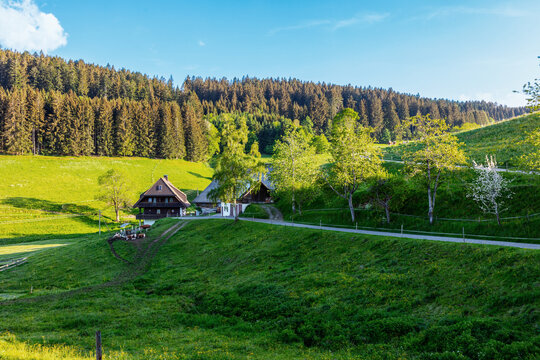 Typical farmhouse near Titisee in the Black Forest