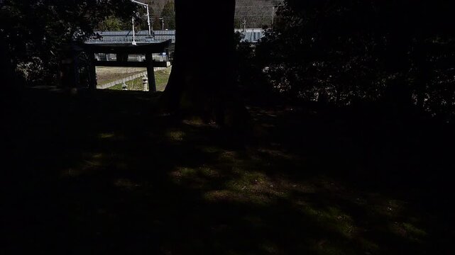 八幡神社を通過する東海道新幹線N700S （東海道新幹線 京都 - 米原, 2026年3月）