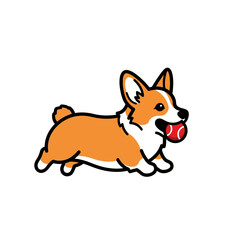Fototapeta premium Playful corgi dog fetching a red ball in its mouth