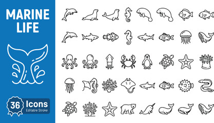 Marine life web icons in line style. Ocean animals, dolphin, shark, whale, turtle, octopus, jellyfish, coral, seahorse, penguin, seal, crab, stingray collection. Editable stroke . Vector illustration. © Itx Musa