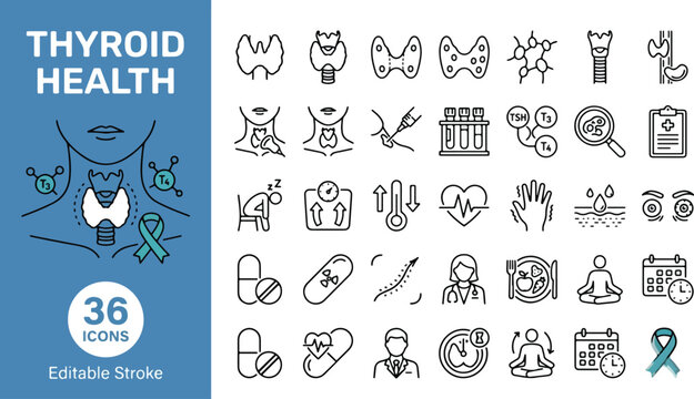 Thyroid health medical line icons set. Endocrinology, hormones TSH T3 T4, gland anatomy, symptoms, diagnosis and treatment collection. Professional outline icons with editable stroke. Vector.