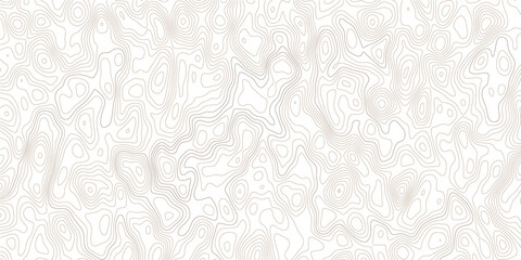 Abstract minimalist topographic contour map background with soft beige organic elevation lines, seamless geographic terrain texture and modern transparent relief design element © Mirror