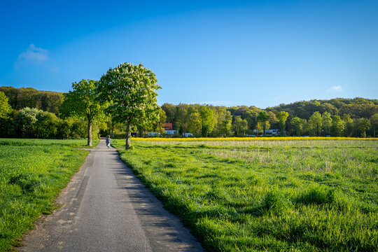 Der Weg zieht sich wie ein stiller Satz durch das satte Gr&uuml;n, eingerahmt von Kastanienbl&uuml;ten und fr&uuml;hem Sommerlicht.