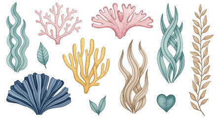 Underwater seaweed, ocean coral, shell vector set, aquatic plants, marine life icons © Adam