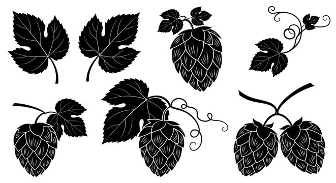 Hops silhouettes, hop cones, leaves, and vines, black vector icons, brewery, beer ingredients, 8 elements