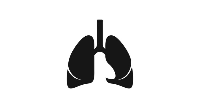 Human lungs anatomy organ illustration.