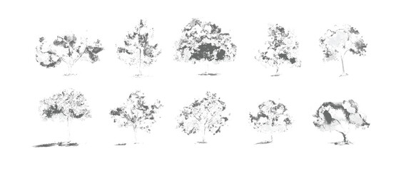 Ten grey ink wash trees with textured foliage and visible trunks on a white background nature leaves © eTC dEsIgN