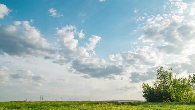 Timelapse, white clouds in the blue sky fly over a green field in spring in May