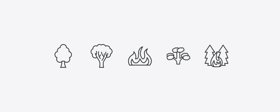 nature outline icon set. thin line american elm tree, paper birch tree, pitch pine tree, forest fire icons. editable vector