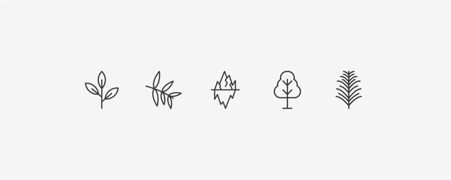 nature outline icon set. thin line green tea, willow leaf, birch, yew leaf icons. editable vector
