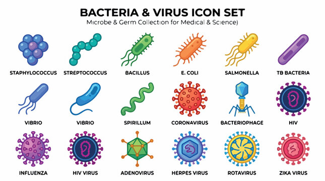 Bacteria and virus icon set, microbe and germ collection for medical and science, 18 colorful pathogen vector illustrations for healthcare education isolated PNG with Transparent Background