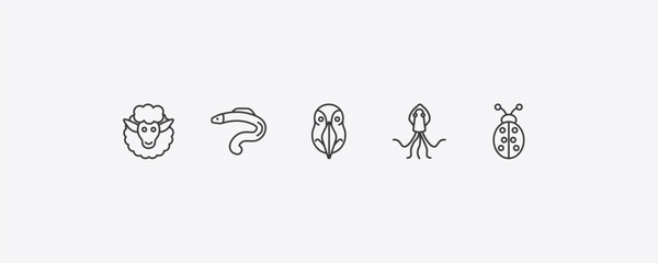 animals outline icon set. thin line female sheep, moray, squid, ladybug icons. editable vector © Farahim