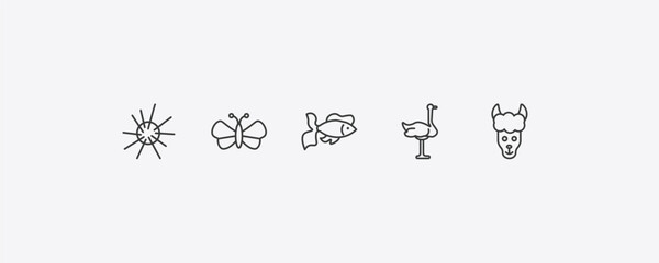 animals outline icon set. thin line sea urchin, butterfly with wings, ostrich, lama icons. editable vector © Farahim