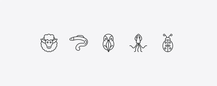 animals outline icon set. thin line female sheep, moray, squid, ladybug icons. editable vector
