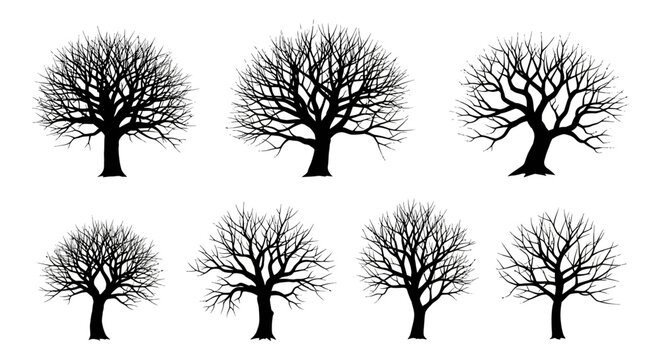 bare trees and winter tree silhouettes a graphic collection of isolated deciduous trees for seasonal design elements.