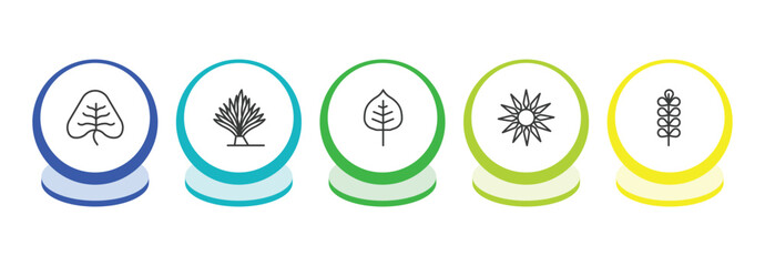 nature outline icon set. thin line cordate, yucca, cercis leaf, sol icons. editable vector © Farahim