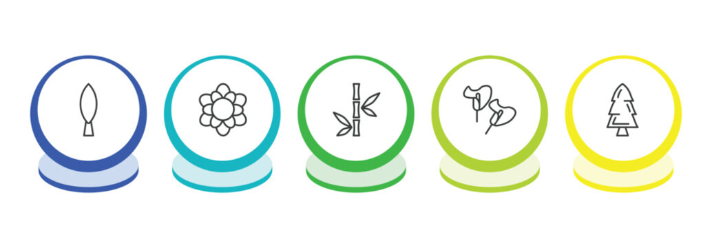 nature outline icon set. thin line cypress, magnolia, bamboo branches, calla icons. editable vector