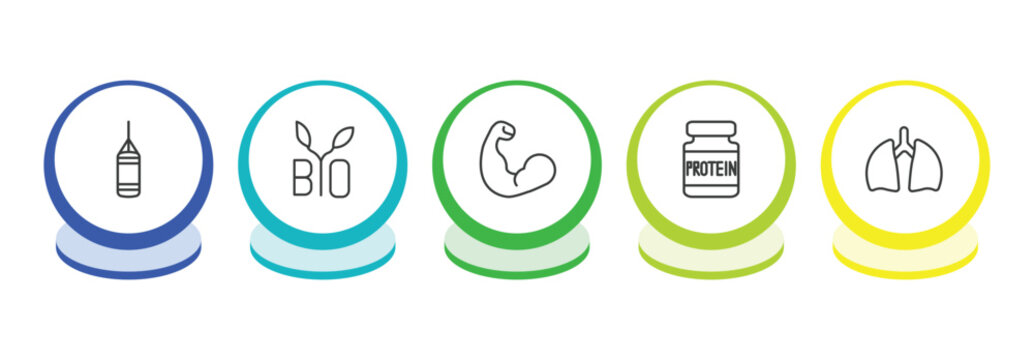 health and medical outline icon set. thin line punching bag, bio, biceps, proteins icons. editable vector