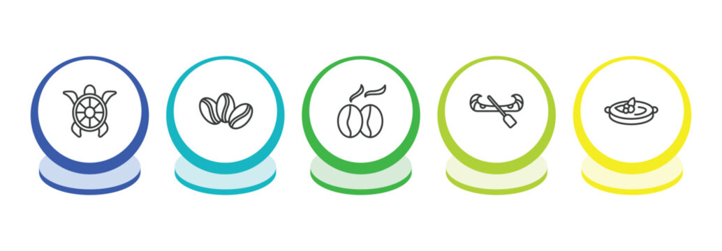 culture outline icon set. thin line surfing a sea turtle, coffee grains, coffee grains, native american canoe icons. editable vector
