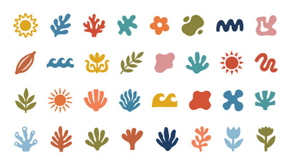 summer abstract organic floral coral shape set modern tropical boho nature minimalist decorative vector collection © Graphic Land