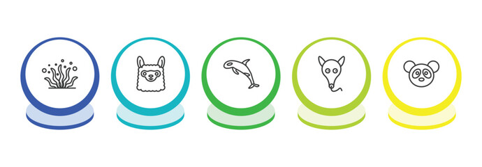 animals outline icon set. thin line seaweed, llama, grampus, ant eater icons. editable vector © Farahim
