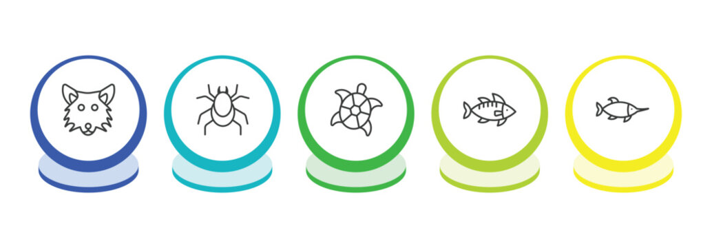 animals outline icon set. thin line wolf, mite, turtle, zander icons. editable vector