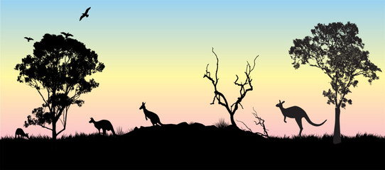 Kangaroo silhouettes in Australian outback at pastel sunrise with eucalyptus trees © electra kay-smith