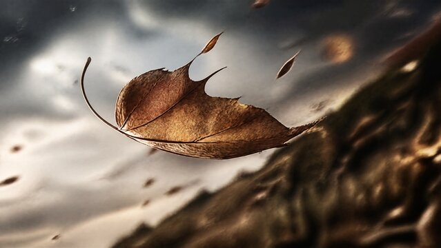 restless. A single dried leaf caught in a strong wind, motion blur and shallow focus. ESG reports, sustainability campaigns, designed for sustainability communications and ESG reporting.