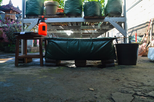Front eye level photograph of water spinach seedlings being transplanted into a hedge grow bag beside a metal garden rack with seed trays and soil mixing tools.