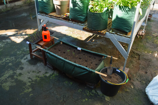 Extreme high angle left side view of kangkung seedling transplanting activity with grow bag planter, seedling tray, hand sprayer, and soil preparation tools outdoors.