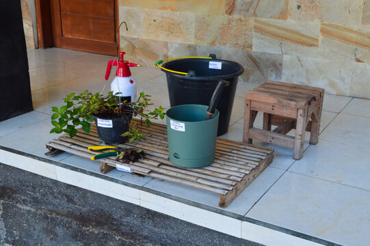 Quarter right high angle image capturing Golden Globes Loosestrife repotting materials with reservoir planter, soil bucket, pruning tools, and hanging plant on terrace flooring.