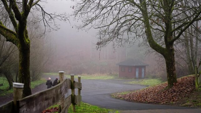 03 October 2025 Germany Munich. Foggy Lane With White Dog, Winding Paved Road Flanked By Mossy Wooden Fence And Bare Oak Trees, Carpet Of Brown Leaves, Damp Early Morning Atmosphere,