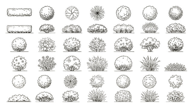 A collection of hand-drawn top-down and side views of various trees and shrubs. CAD Blocks Icon Sheet Vector