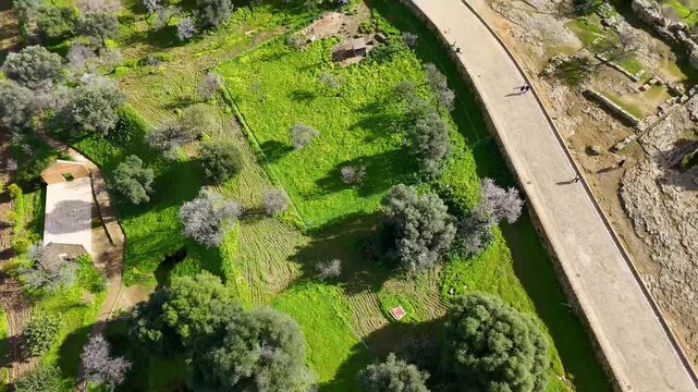 Side aerial view of the Temple of Concordia with Doric columns, rocky paths, olive trees, and Sicilian countryside.