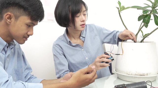 Young Asian woman and man using microcontroller and soil moisture sensors to measure soil moisture in a potted plant.