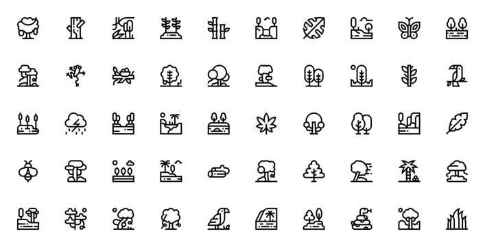 Rainforest icon pack. Minimal linear icons set. Vector illustration. Featuring tree, bamboo, jungle, plant, waterfall, leaf, butterfly, frog, bird, palm, snake, grass and more.