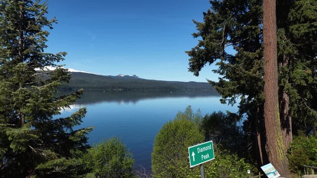 Aerial rising shot over Odell Lake and Diamond Peak between pine trees in Oregon in spring