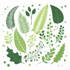Fototapeta premium Collection of Green Leaves and Branches